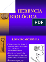 herencia biológica