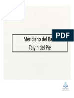 16_Meridiano Del Bazo Taiyin Del Pie