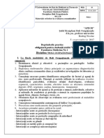Deprinderi Practice Boli Ocupaționale 2017 2018 PDF