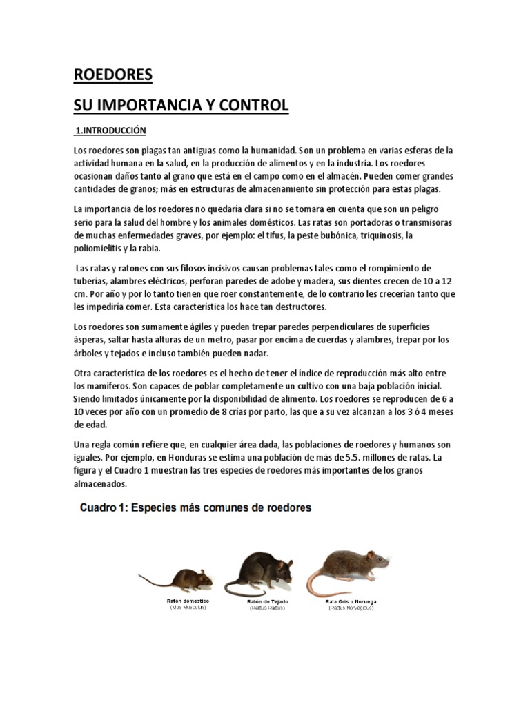 Control y Riesgos de Roedores Sanitarios | PDF | Roedor | Alimentos