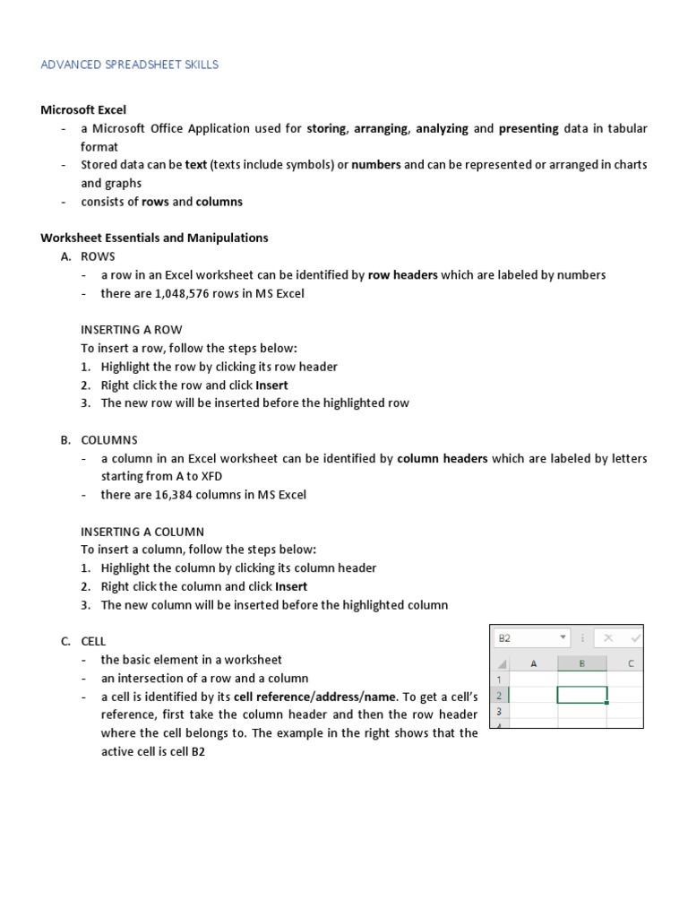 Advanced Spreadsheet Skills | PDF | Microsoft Excel | Computer Programming