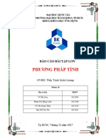 Báo Cáo BTL Phương Pháp Tính