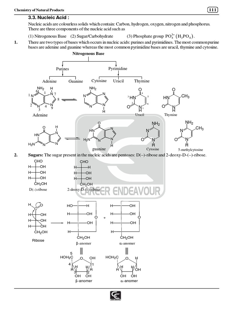 The Building Blocks of Nucleic Acids A Breakdown of the Components and