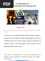 8_Organização Do Serviço Municipal de Proteção Civil