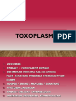 Toxoplasmosis 