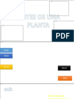 Partes de Una Planta