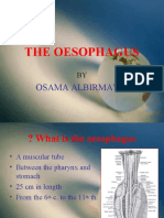 The Oesophagus: Osama Albirmawy