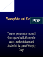 Haemophilus and Bordetella
