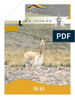 La Vicuña. 