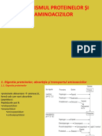 Curs NR 9 Metabolismul Proteic