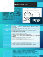 El Mci A Travès de Ciclos