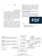 DesarrolloPsicologiaEn3Etapas