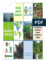 Bosque Modelo PDF