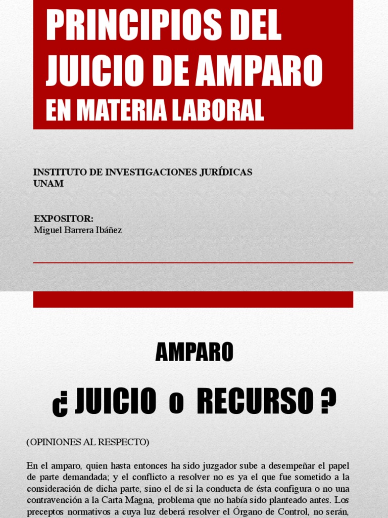 Principios Del Juicio de Amparo en Materia Laboral | PDF | Ley procesal ...