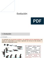 Evolución