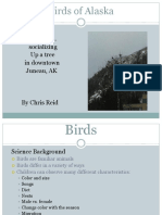 science presentation- birds
