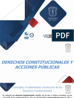 Derechos Constitucionales y Acciones Publicas - I.2019-1