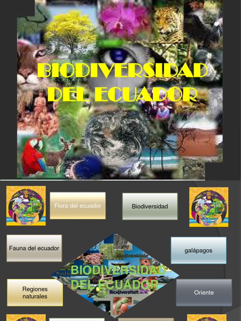 Biodiversidad del Ecuador: Flora y Fauna | PDF | Biodiversidad | Ecuador