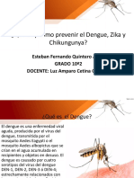 Qué Es y Como Prevenir El Dengue, Zika y Chikungunya