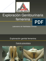 Exploracion_Genitourinaria_femenina