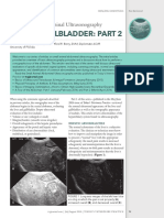 Small Animal Abdominal Ultrasonography Liver & GallBladder - Part 2
