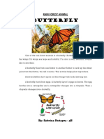 Butterfly: Rain Forest Animal