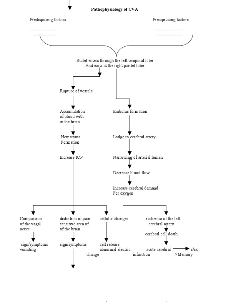 CVA Pathophysiology and Treatment Insights | PDF | Stroke | Medical ...