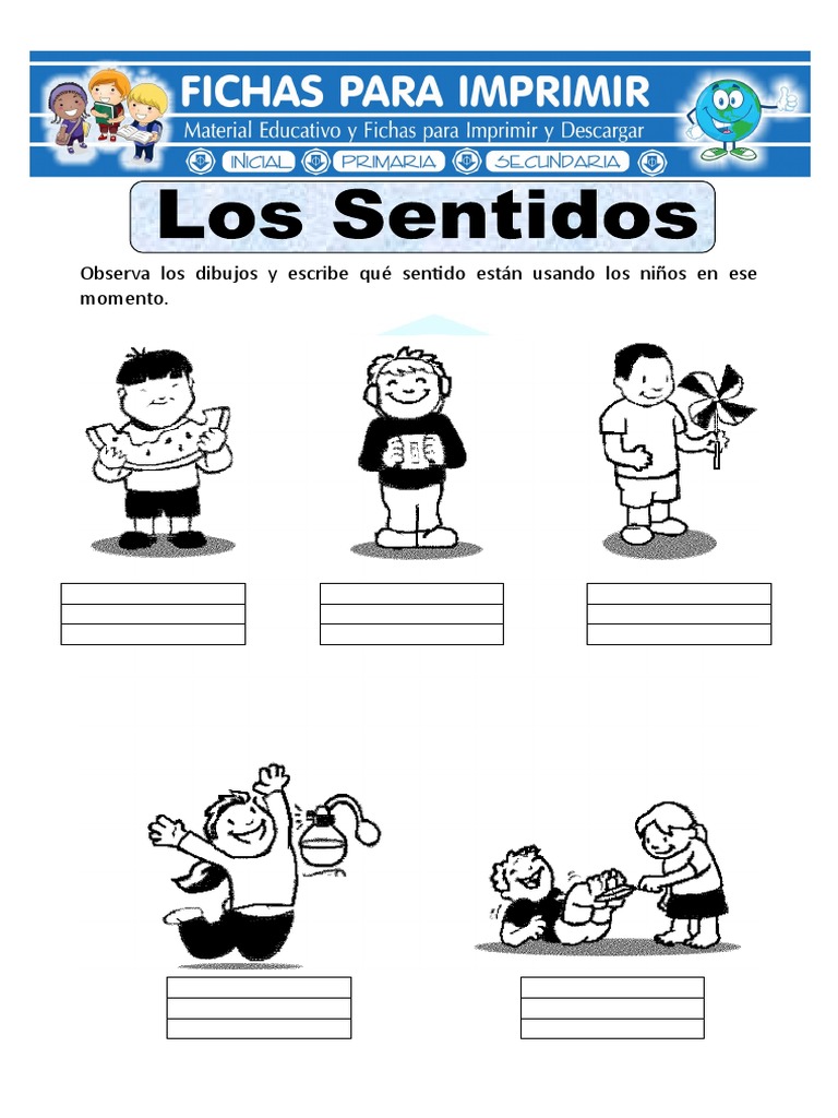 Los Sentidos Primero de Primaria | PDF | Science | Ciencia (general)
