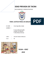 La justicia penal de adolescentes en el Perú: Análisis de la normativa y el sistema de responsabilidad juvenil