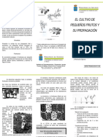 Arandano 2 854 PDF
