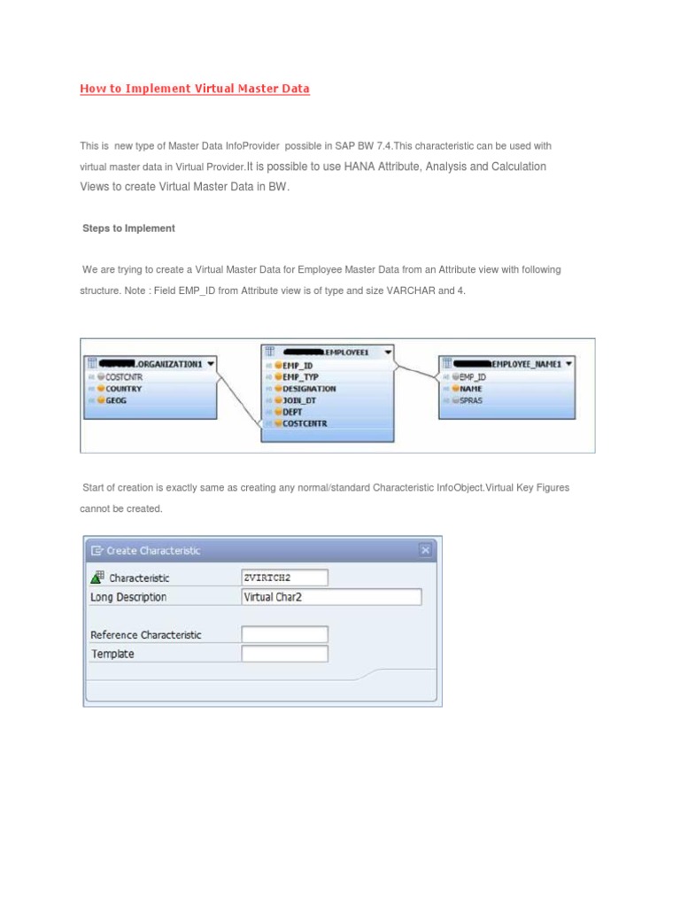 How To Implement Virtual Master Data | PDF | Computer Data Storage ...