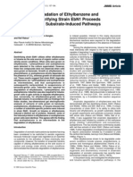 Anaerobic Degradation of Ethylbenzene and Toluene in Denitrifying Strain Ebn1 Proceeds Via Independent Substrate-Induced Pathways