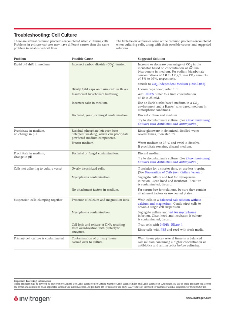 Cell Culture TroubleShooting PDF Cell Culture Mycoplasma