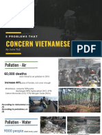 Presentation - 5 Problems That Concern Vietnamese