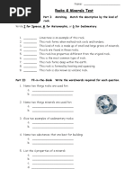 Rocks & Minerals Test