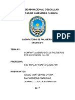 Informe 1 Polimeros