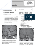 Sistema Endocrino 