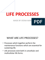 Life Processes: Made by Veena Mam