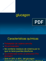 glucagon.ppt