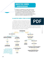 Nodos Bio 2 Evolucion Caba