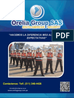 Orelia Seguridad PDF