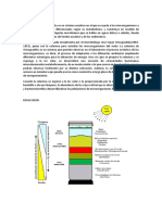 Columna de Winogradsky