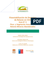 Fitoestabilización de Depósitos de Relaves en Chile Guía N° 3 (1)