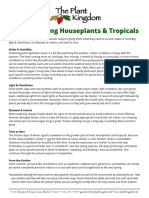 Overwintering Houseplants & Tropicals: Water & Humidity