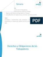 Responsabilidades Del Empleador Obligaciones de Los Trabajadores en Materia SST