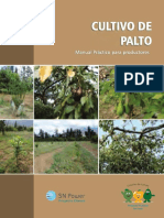 Cultivo de Palto Perú - 2018