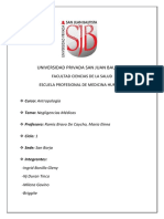 Antropología Upsjb