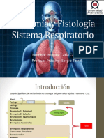 Anatomía y Fisiología Sistema Respiratorio