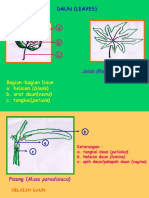 Download MORFOLOGI DAUN by Pria Harapan Bangsa SN41272177 doc pdf