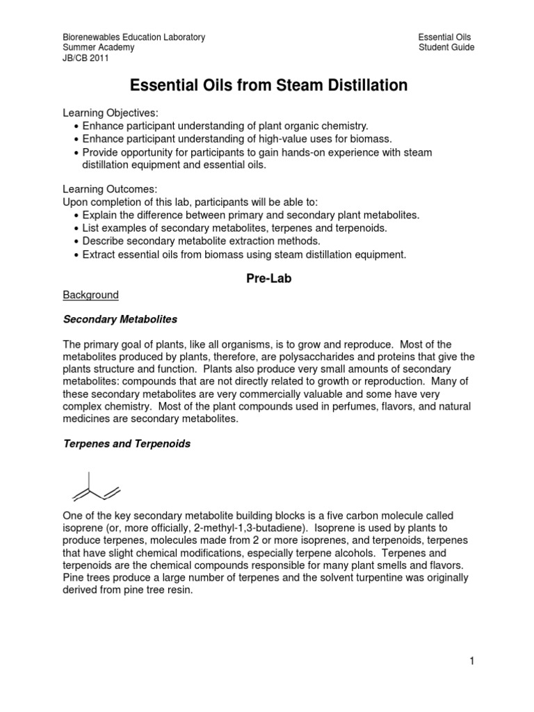 Essential Oils From Steam Distillation PreLab PDF Essential Oil